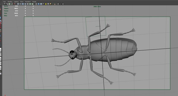 Firefly model - TurboSquid 1483553