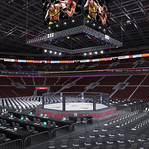 UFC Stadium