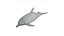 3D dolphin rigged model