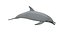 3D dolphin rigged model