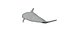 3D dolphin rigged model