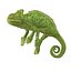 3d chameleon pose 2 model