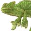 3d chameleon pose 2 model