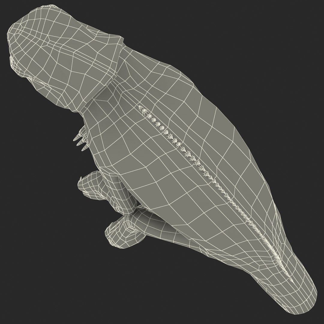 3d chameleon pose 2 model https://p.turbosquid.com/ts-thumb/XH/kzDsMz/8eS4w4qQ/chameleonobj3dmodel35/jpg/1458119720/1920x1080/fit_q87/d1bae215d035aad9086318feee60c937267ac6ba/chameleonobj3dmodel35.jpg