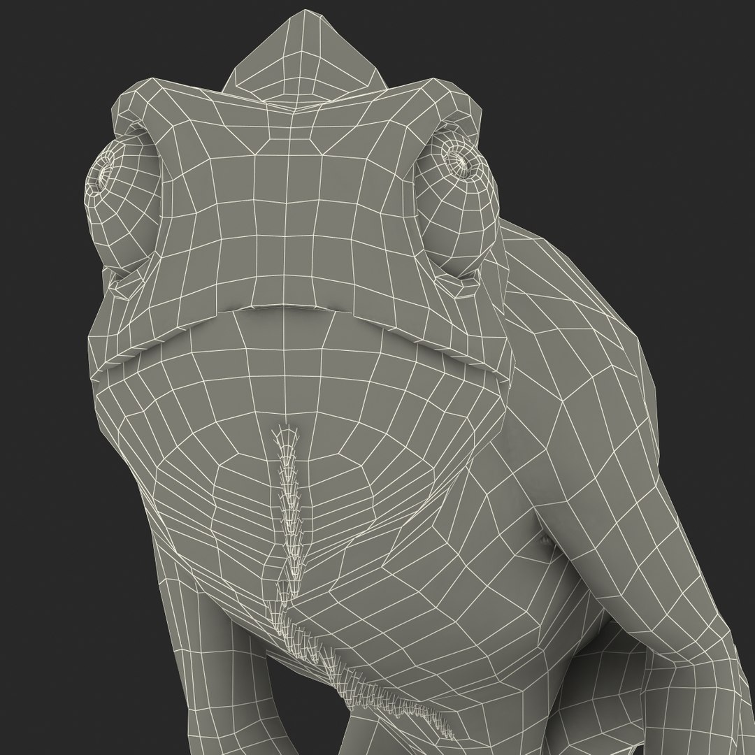 3d chameleon pose 2 model https://p.turbosquid.com/ts-thumb/XH/kzDsMz/9e7UM5Q8/chameleonobj3dmodel43/jpg/1458119721/1920x1080/fit_q87/9ed2c89264c1e72dce381aa8541858e7a808ec4f/chameleonobj3dmodel43.jpg