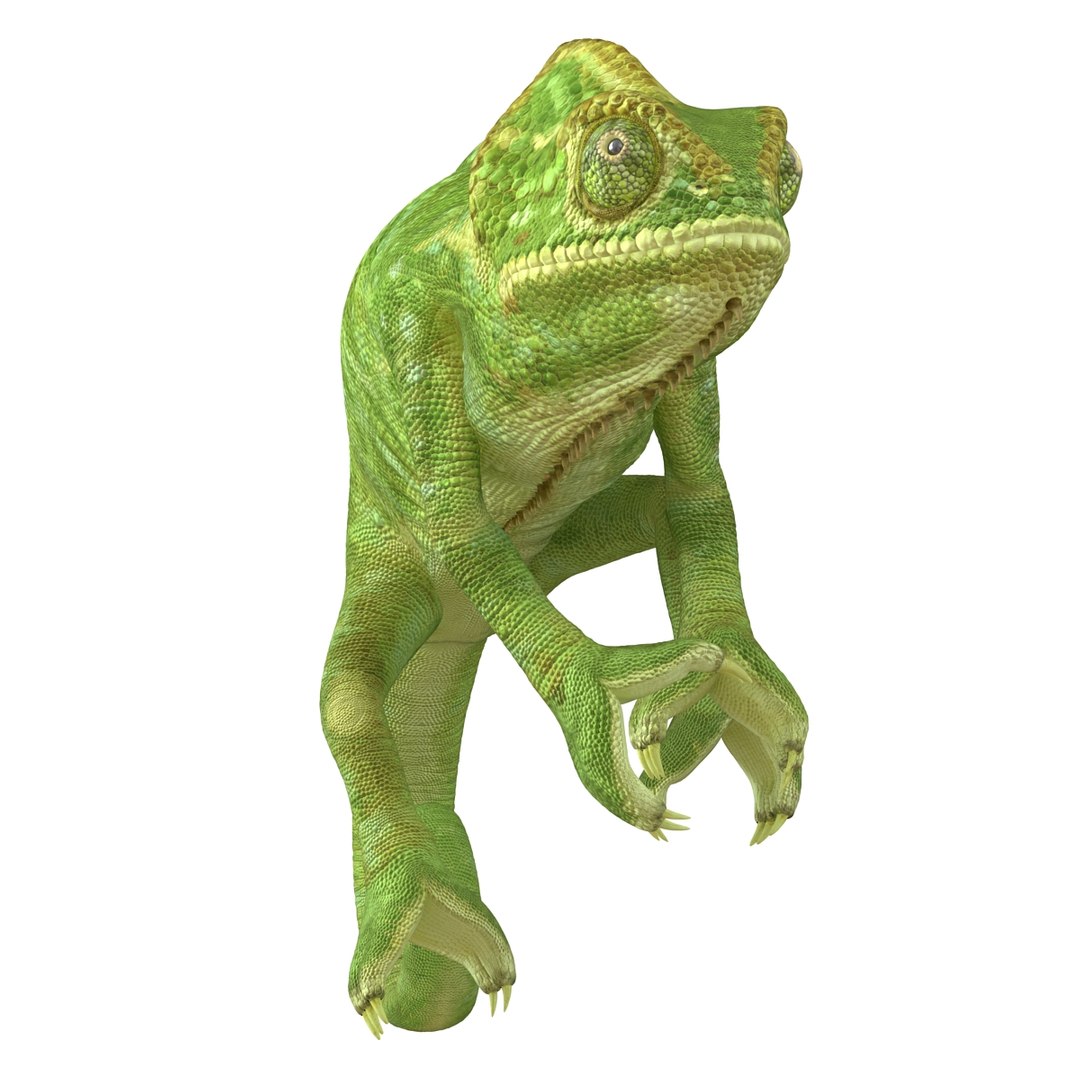 3d chameleon pose 2 model https://p.turbosquid.com/ts-thumb/XH/kzDsMz/Bf06tqjP/chameleonobj3dmodel04/jpg/1458119717/1920x1080/fit_q87/7fa2cddd9483685a9393c9f41e39c0f16075d91a/chameleonobj3dmodel04.jpg