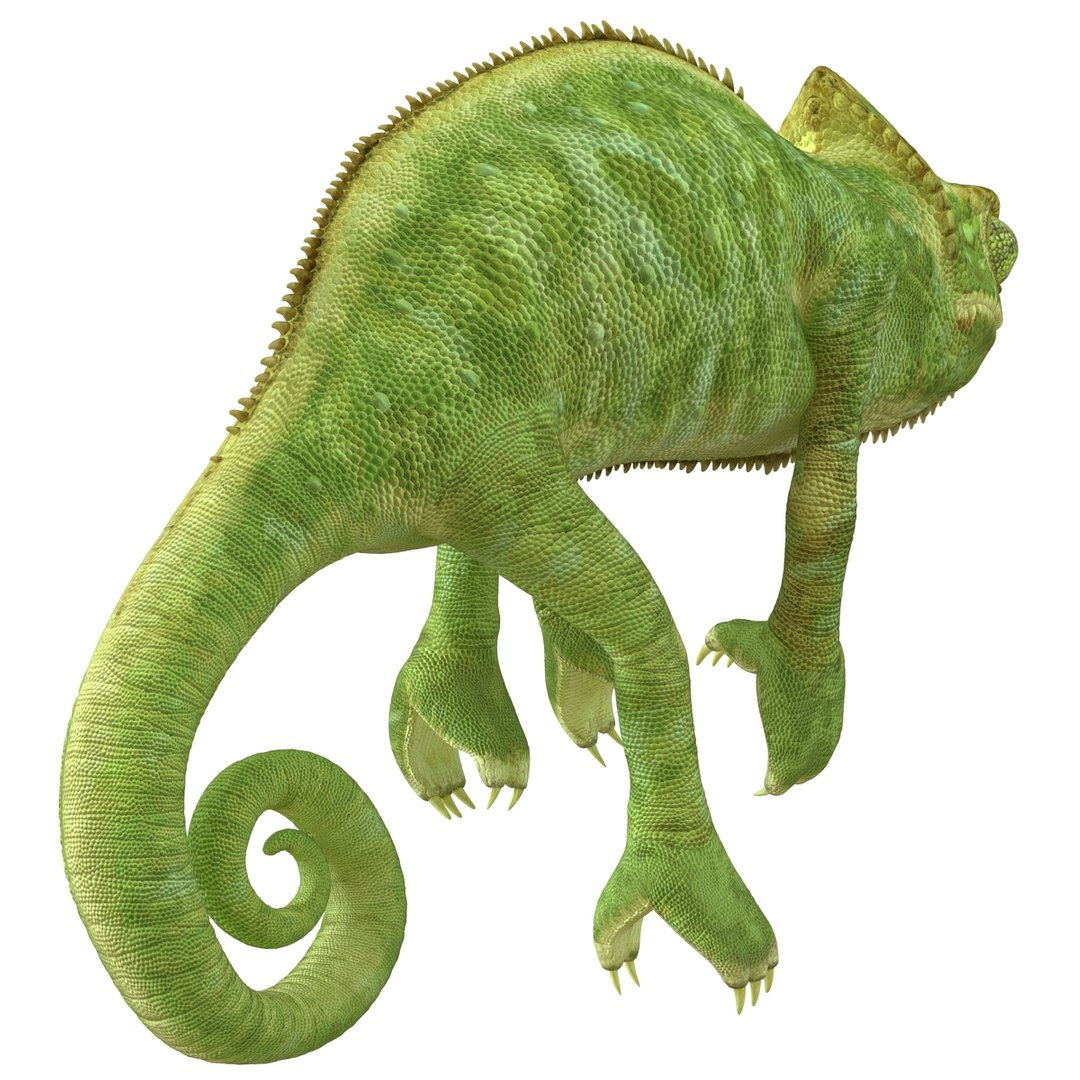 3d chameleon pose 2 model https://p.turbosquid.com/ts-thumb/XH/kzDsMz/C5XnPzzQ/chameleonobj3dmodel14/jpg/1458119718/1920x1080/fit_q87/ea78e71d37c246695edd6e64ea487ed415e85546/chameleonobj3dmodel14.jpg