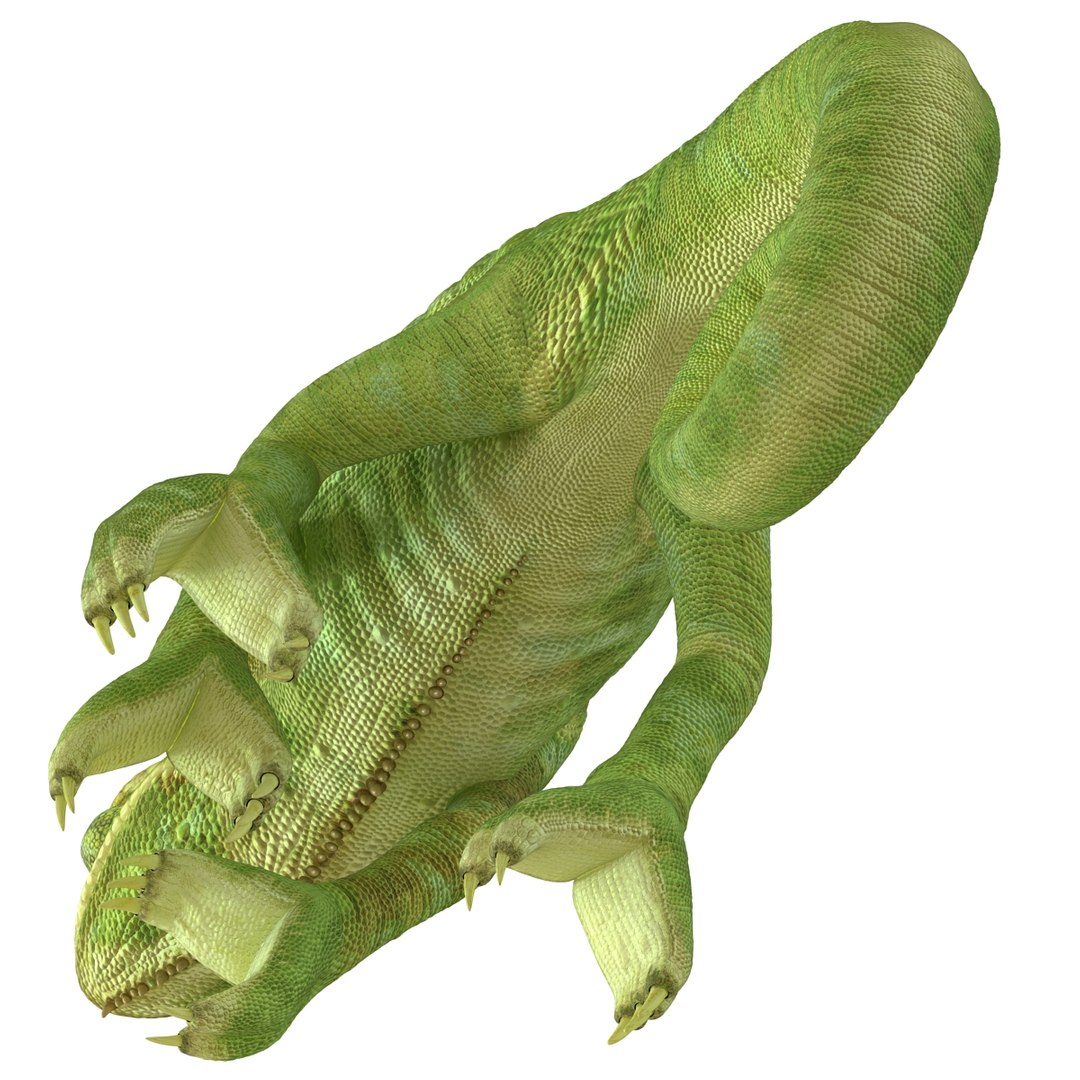 3d chameleon pose 2 model https://p.turbosquid.com/ts-thumb/XH/kzDsMz/CIGqfsPL/chameleonobj3dmodel17/jpg/1458119718/1920x1080/fit_q87/072577d7537590579e1c3da47db1974e41d5c0ab/chameleonobj3dmodel17.jpg