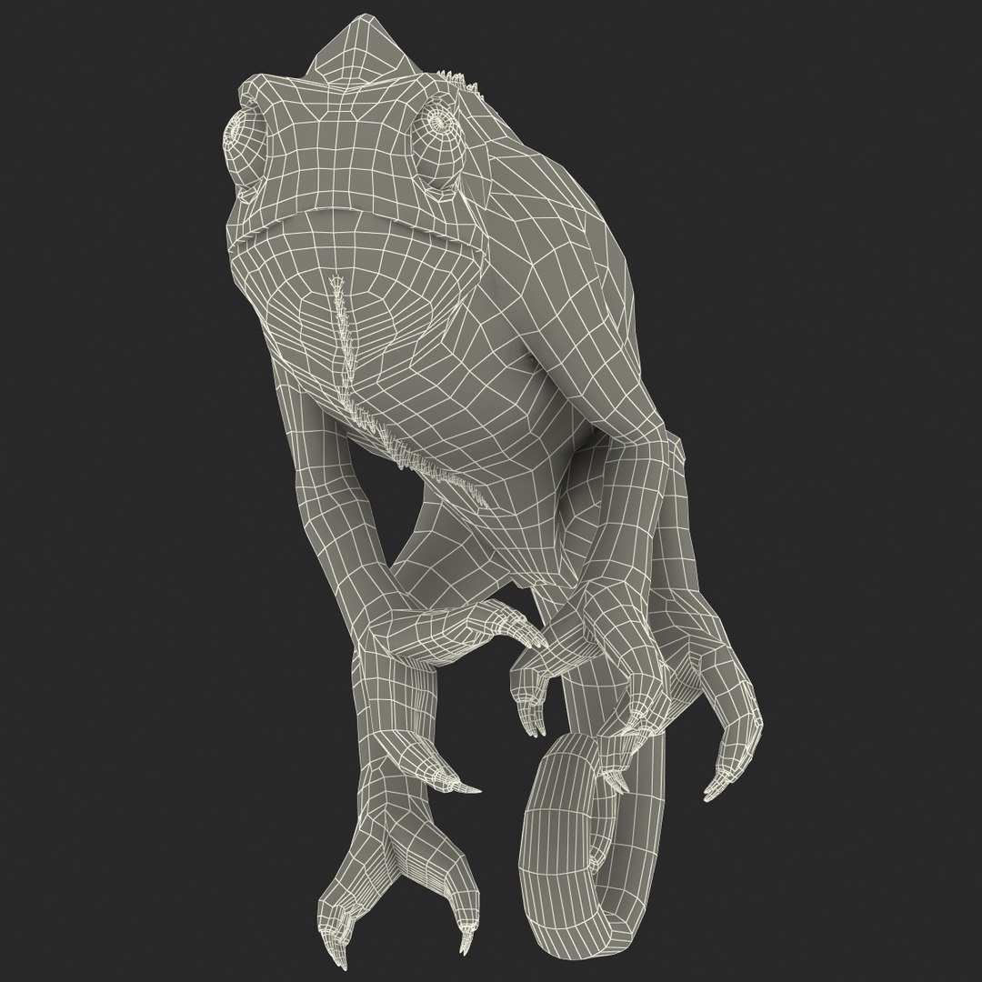 3d chameleon pose 2 model https://p.turbosquid.com/ts-thumb/XH/kzDsMz/DUKAE8Nw/chameleonobj3dmodel33/jpg/1458119720/1920x1080/fit_q87/debedbc08f15cfb462e32e965f2d799bed8a5d38/chameleonobj3dmodel33.jpg