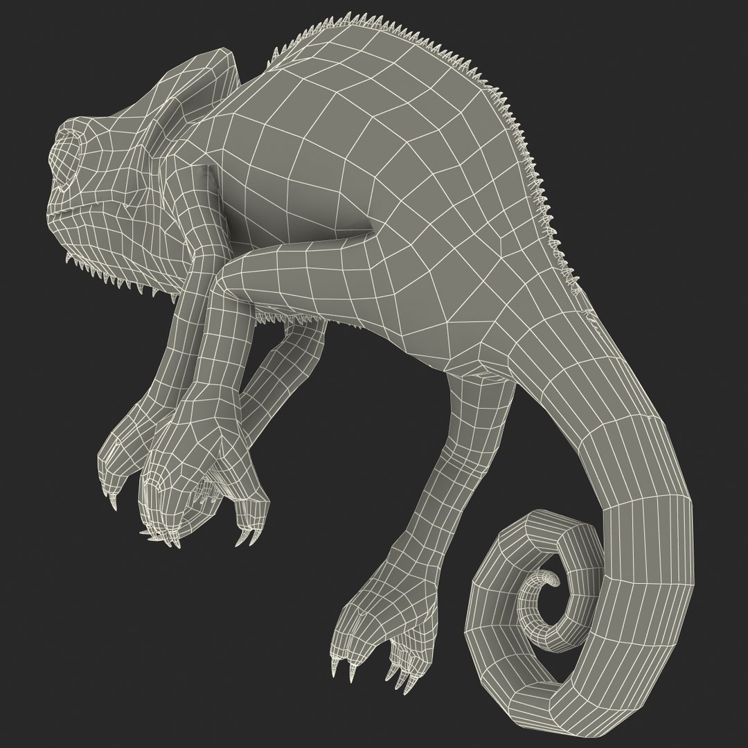 3d chameleon pose 2 model https://p.turbosquid.com/ts-thumb/XH/kzDsMz/IQtaQSM7/chameleonobj3dmodel38/jpg/1458119720/1920x1080/fit_q87/d640425bc526de68a5fb71ad6a670c48e47d805b/chameleonobj3dmodel38.jpg