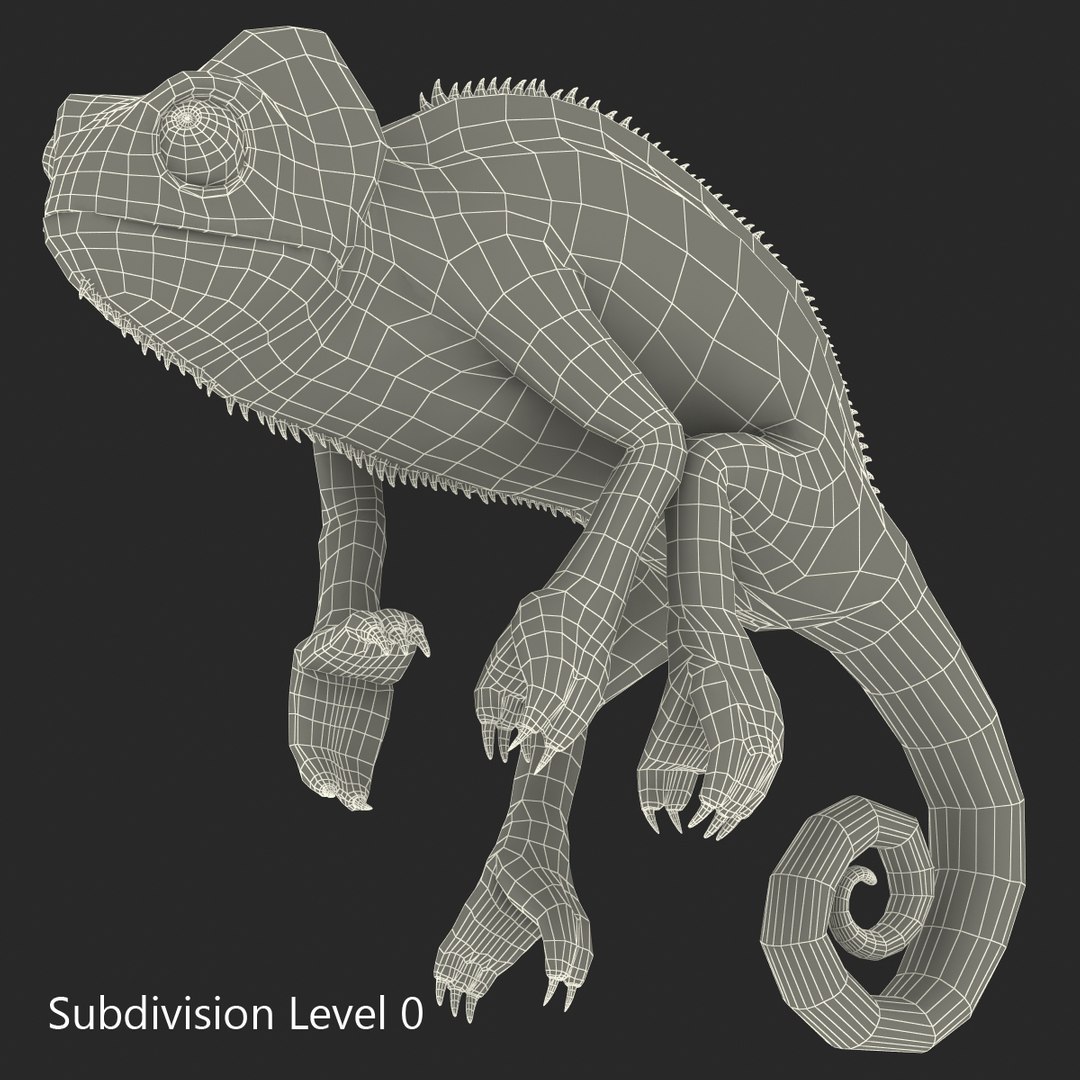 3d chameleon pose 2 model https://p.turbosquid.com/ts-thumb/XH/kzDsMz/JP8rMA86/chameleonobj3dmodel27/jpg/1458119719/1920x1080/fit_q87/3ee1ec7115b5bf18f85e0ae78a71e2ab51205c09/chameleonobj3dmodel27.jpg