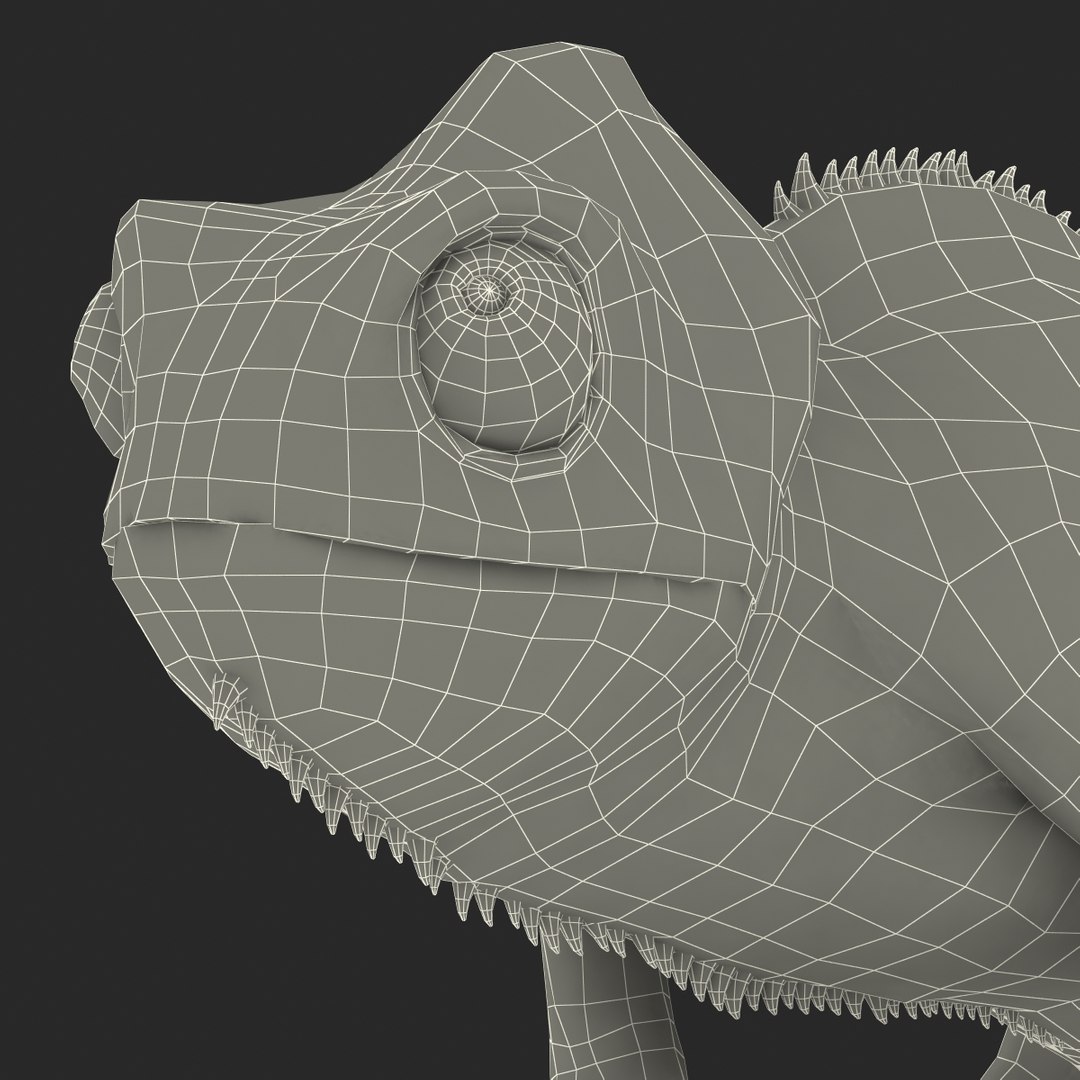 3d chameleon pose 2 model https://p.turbosquid.com/ts-thumb/XH/kzDsMz/KjHEyH0T/chameleonobj3dmodel40/jpg/1458119720/1920x1080/fit_q87/fd3c073fda39b77d986f79d62958aa6375107f4c/chameleonobj3dmodel40.jpg