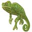 3d chameleon pose 2 model