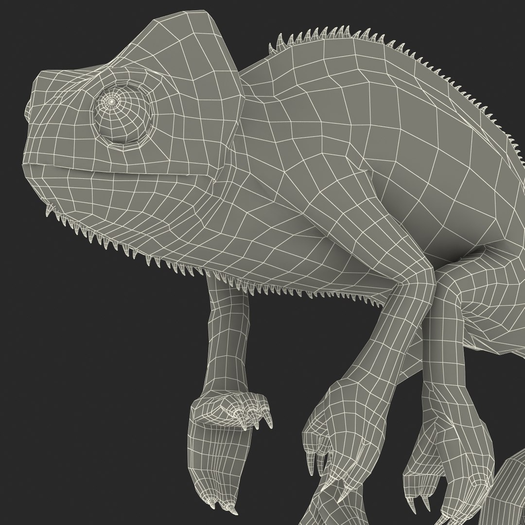 3d chameleon pose 2 model https://p.turbosquid.com/ts-thumb/XH/kzDsMz/LkHq1loZ/chameleonobj3dmodel39/jpg/1458119720/1920x1080/fit_q87/869d166f4d0a93676ff6691aafc72ebc138c078c/chameleonobj3dmodel39.jpg