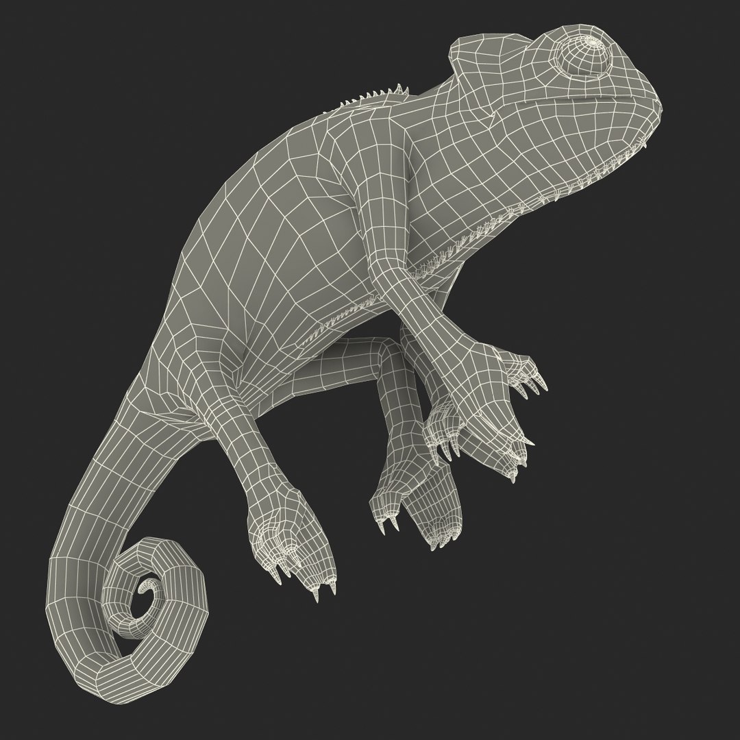 3d chameleon pose 2 model https://p.turbosquid.com/ts-thumb/XH/kzDsMz/M5Talvcq/chameleonobj3dmodel45/jpg/1458119721/1920x1080/fit_q87/18cd80b5903896375a84b7c0f13f332ade2c9d4d/chameleonobj3dmodel45.jpg