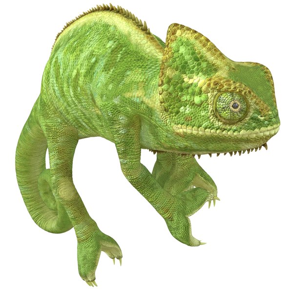 3d chameleon pose 2 model