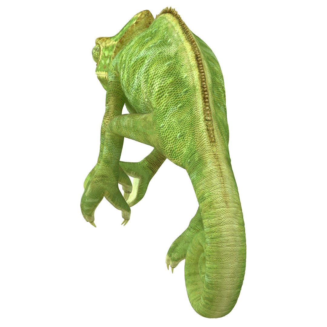 3d chameleon pose 2 model https://p.turbosquid.com/ts-thumb/XH/kzDsMz/UXPSJeIW/chameleonobj3dmodel06/jpg/1458119717/1920x1080/fit_q87/0020c9021ea1a3a3bc615f8ba6f012d29d059b3e/chameleonobj3dmodel06.jpg