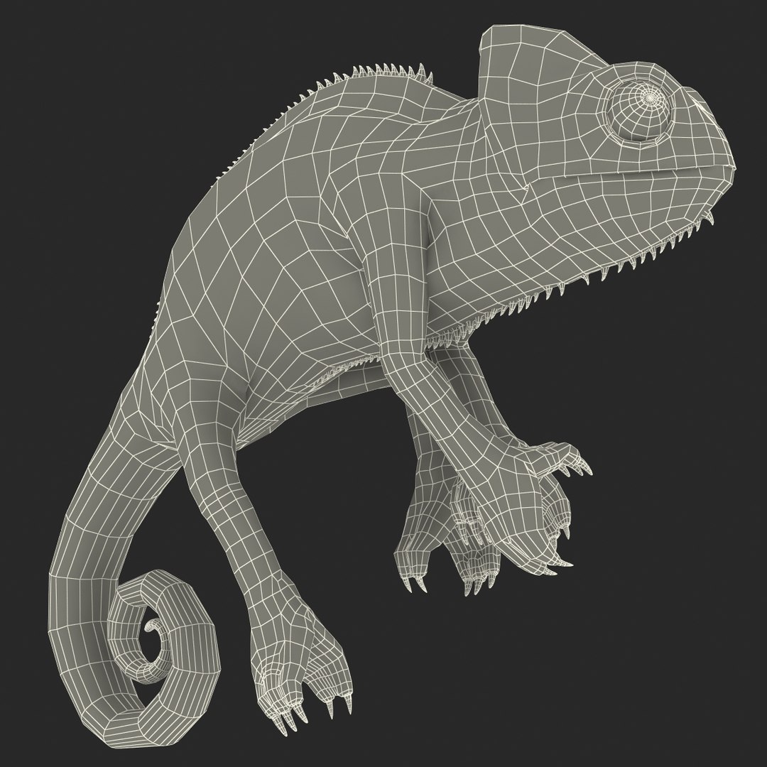 3d chameleon pose 2 model https://p.turbosquid.com/ts-thumb/XH/kzDsMz/cZipa9j3/chameleonobj3dmodel37/jpg/1458119720/1920x1080/fit_q87/d0465dd611a901b00a31696c6bae3e72c4c78daa/chameleonobj3dmodel37.jpg