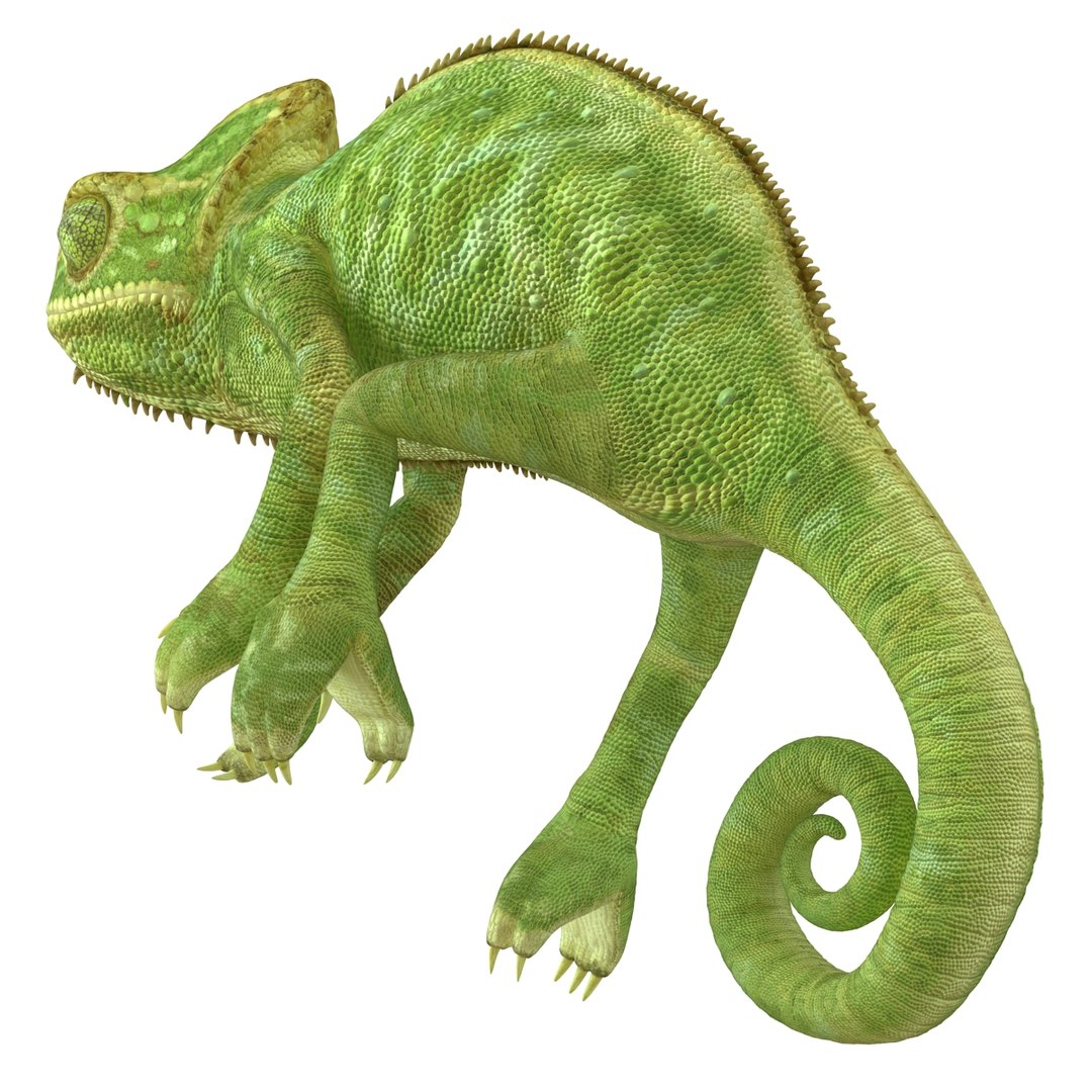 3d chameleon pose 2 model https://p.turbosquid.com/ts-thumb/XH/kzDsMz/dhh95c0w/chameleonobj3dmodel15/jpg/1458119718/1920x1080/fit_q87/bcdd9cfc40dcdba97bc3fdee892f157f2e69350b/chameleonobj3dmodel15.jpg