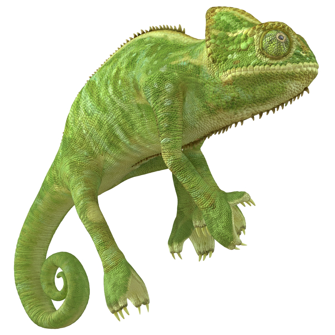 3d chameleon pose 2 model