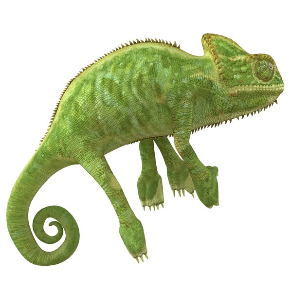 3d chameleon pose 2 model