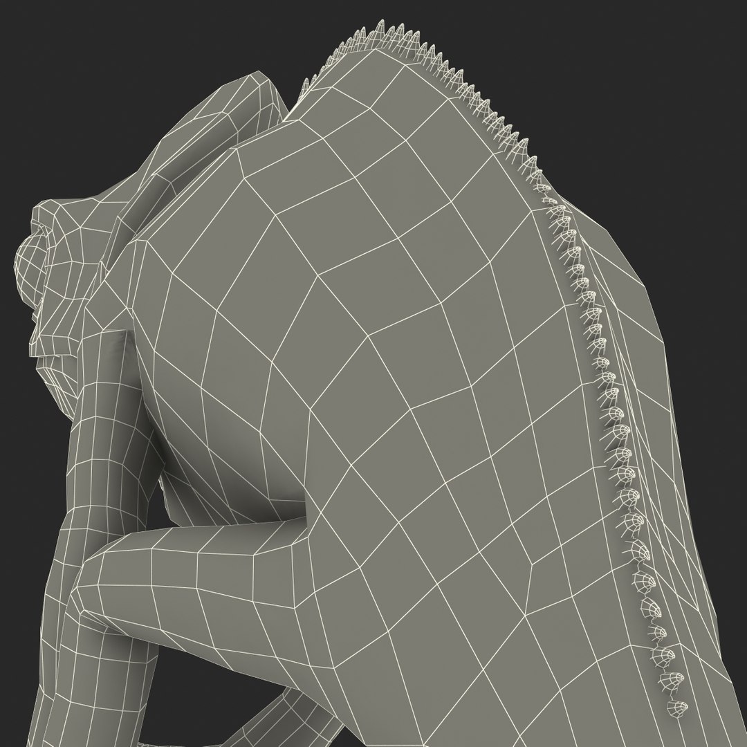 3d chameleon pose 2 model https://p.turbosquid.com/ts-thumb/XH/kzDsMz/i978Vwbv/chameleonobj3dmodel44/jpg/1458119721/1920x1080/fit_q87/b57a868dade5235e0321ba1ccddc1fc5dc184262/chameleonobj3dmodel44.jpg