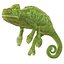 3d chameleon pose 2 model