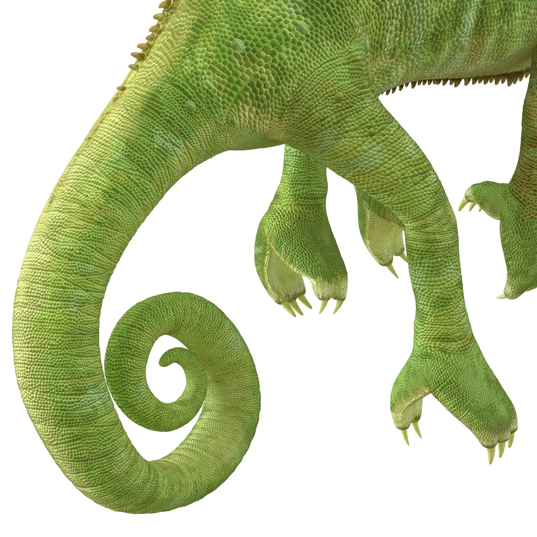 3d chameleon pose 2 model https://p.turbosquid.com/ts-thumb/XH/kzDsMz/kfbczm9V/chameleonobj3dmodel24/jpg/1458119719/1920x1080/fit_q87/e86049967dad6fda561baaabf5141b6a60ac8f47/chameleonobj3dmodel24.jpg