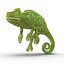 3d chameleon pose 2 model