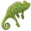 3d chameleon pose 2 model