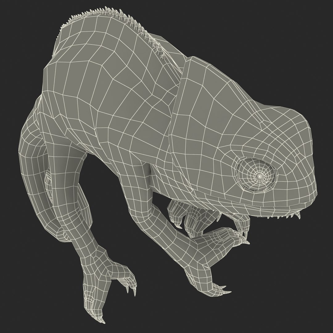 3d chameleon pose 2 model https://p.turbosquid.com/ts-thumb/XH/kzDsMz/wyWJ3LQN/chameleonobj3dmodel36/jpg/1458119720/1920x1080/fit_q87/e8f850c5d3f0b019b1261cda3ca9cd5b4dced73e/chameleonobj3dmodel36.jpg