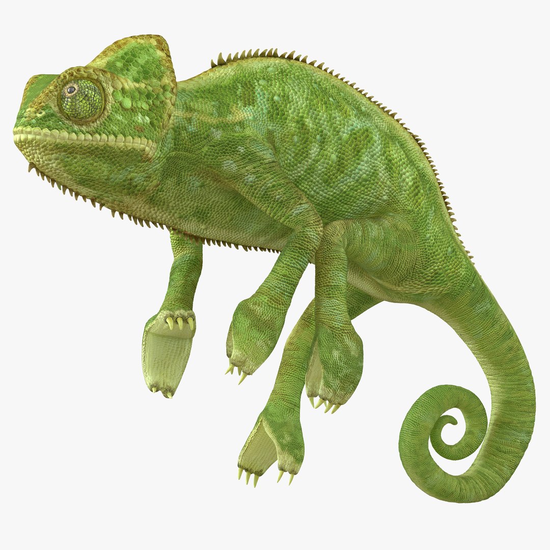 Chameleon Pose 2 3D model preview
