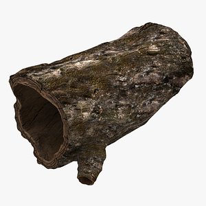 Old Hollow Tree Trunk model
