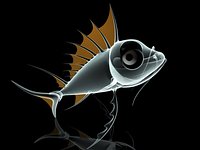 Fishy.mb