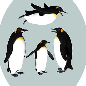 Fully rigged low poly penguin