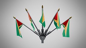 3D Wall Mount Flags 5 Of Guyana