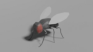 Low-poly Fly