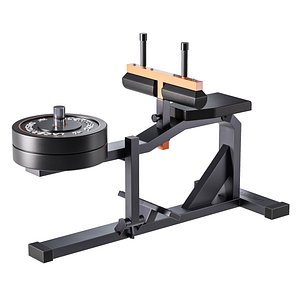 Seated Calf Machine Plate Loaded