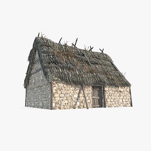 3D Medieval thatched hut model