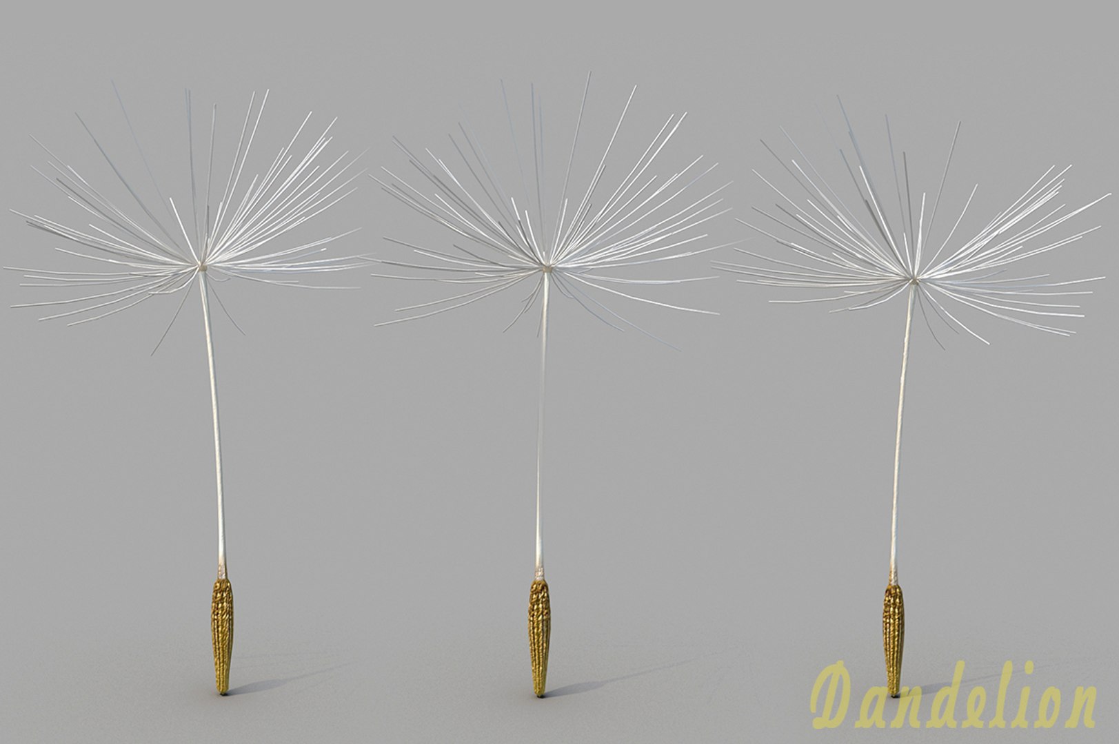 3d dandelion model https://p.turbosquid.com/ts-thumb/XJ/J3QrOh/ZMakl81S/cover/jpg/1472141022/1920x1080/fit_q87/0c09c87cd425f792a04d2df813270d6cb23b1763/cover.jpg