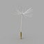 3d dandelion model