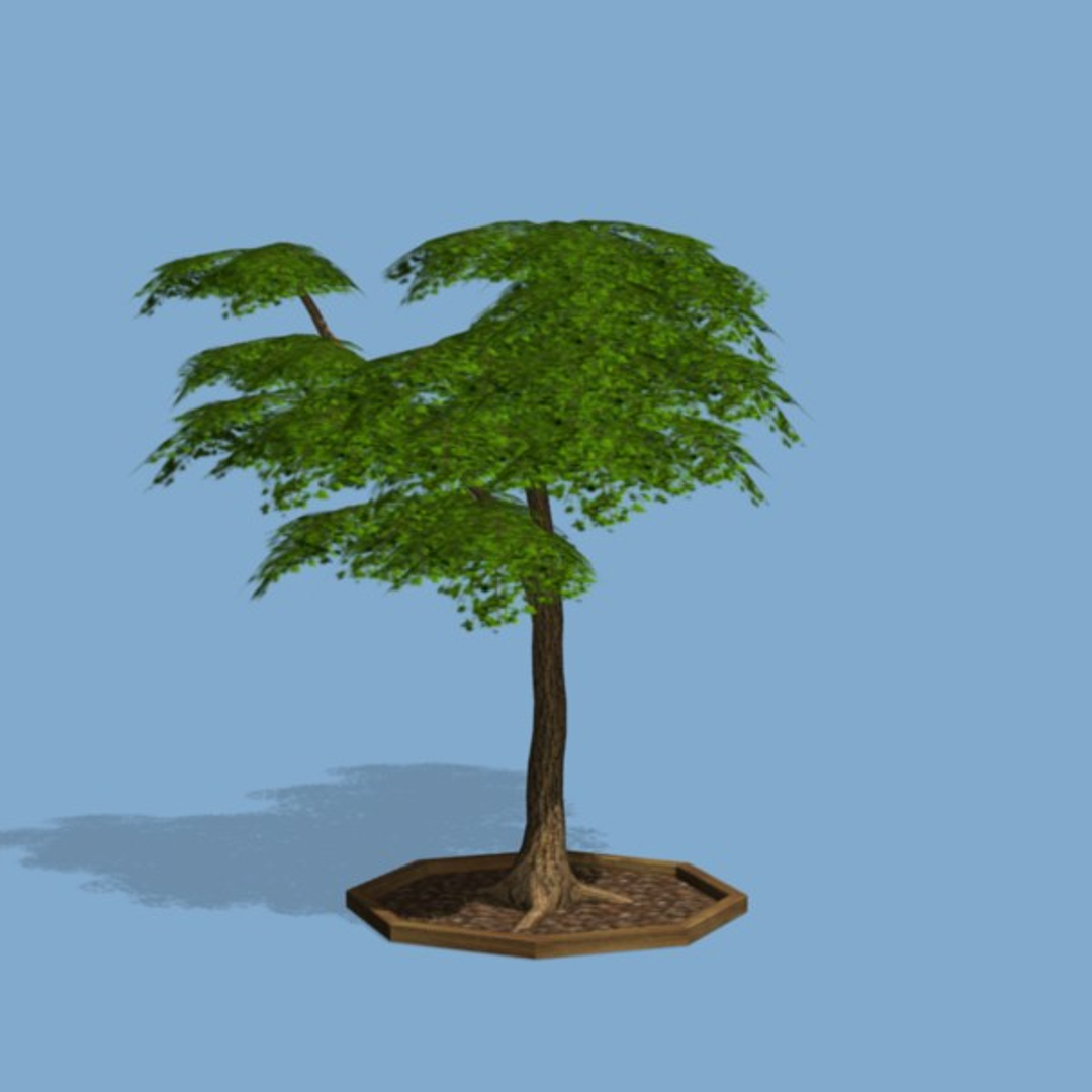 3d Model Of Tree Pl