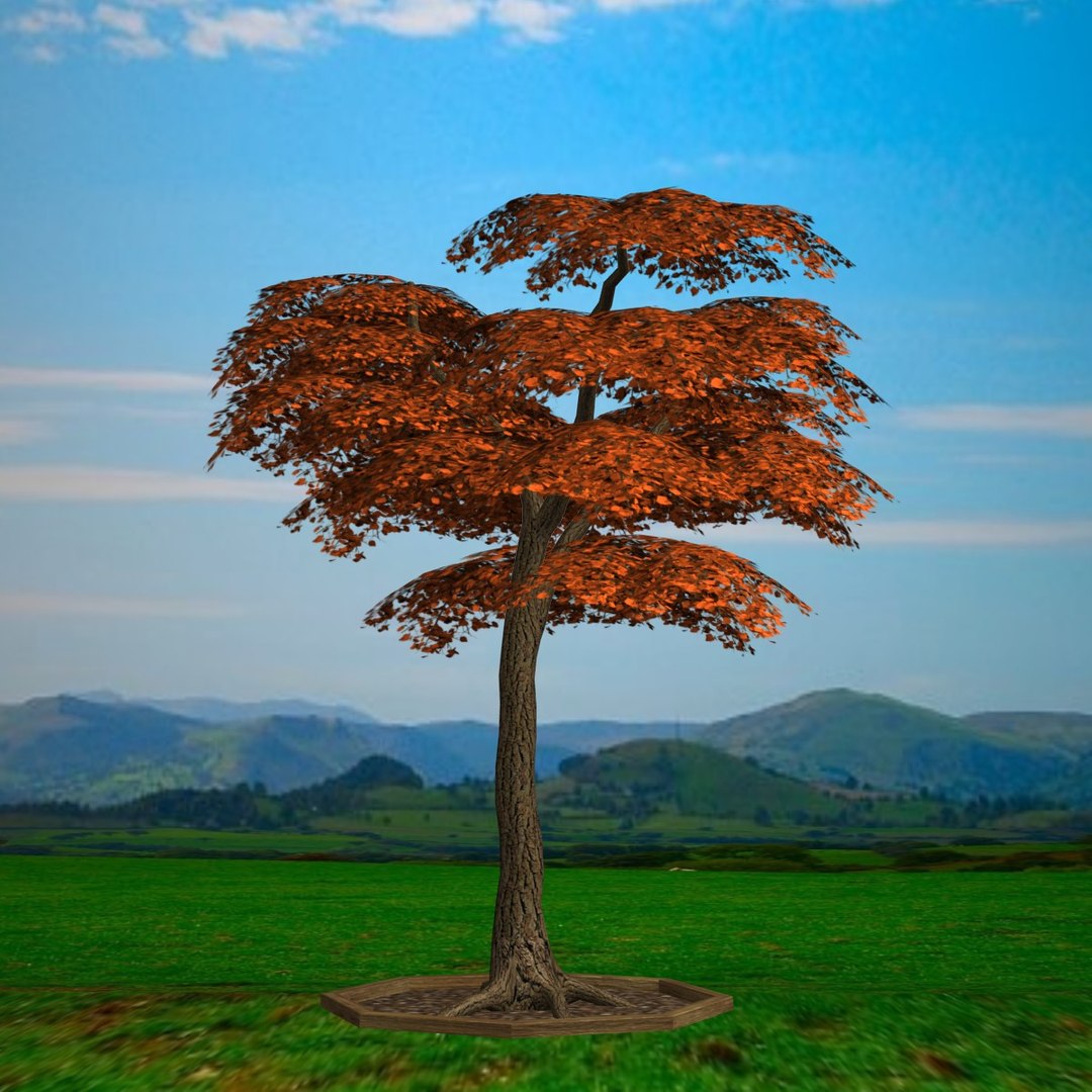 3d Model Of Tree Pl