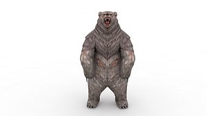 Bear