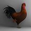 gallina + gallo + pollo