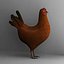 gallina + gallo + pollo