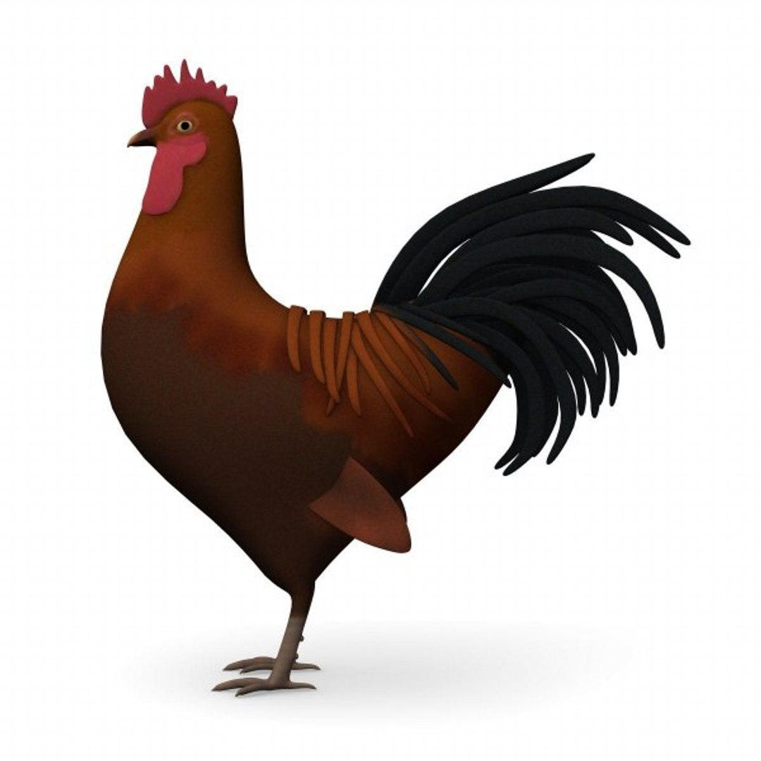 3d hen cock chicken https://p.turbosquid.com/ts-thumb/XJ/Nxo1fl/dspvMQM6/cock_render/jpg/1292606011/1920x1080/fit_q87/8837affe1f4d6e95f93d6b34faa335bd1b090820/cock_render.jpg