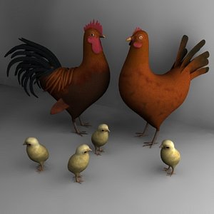 3d hen cock chicken