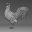 gallina + gallo + pollo