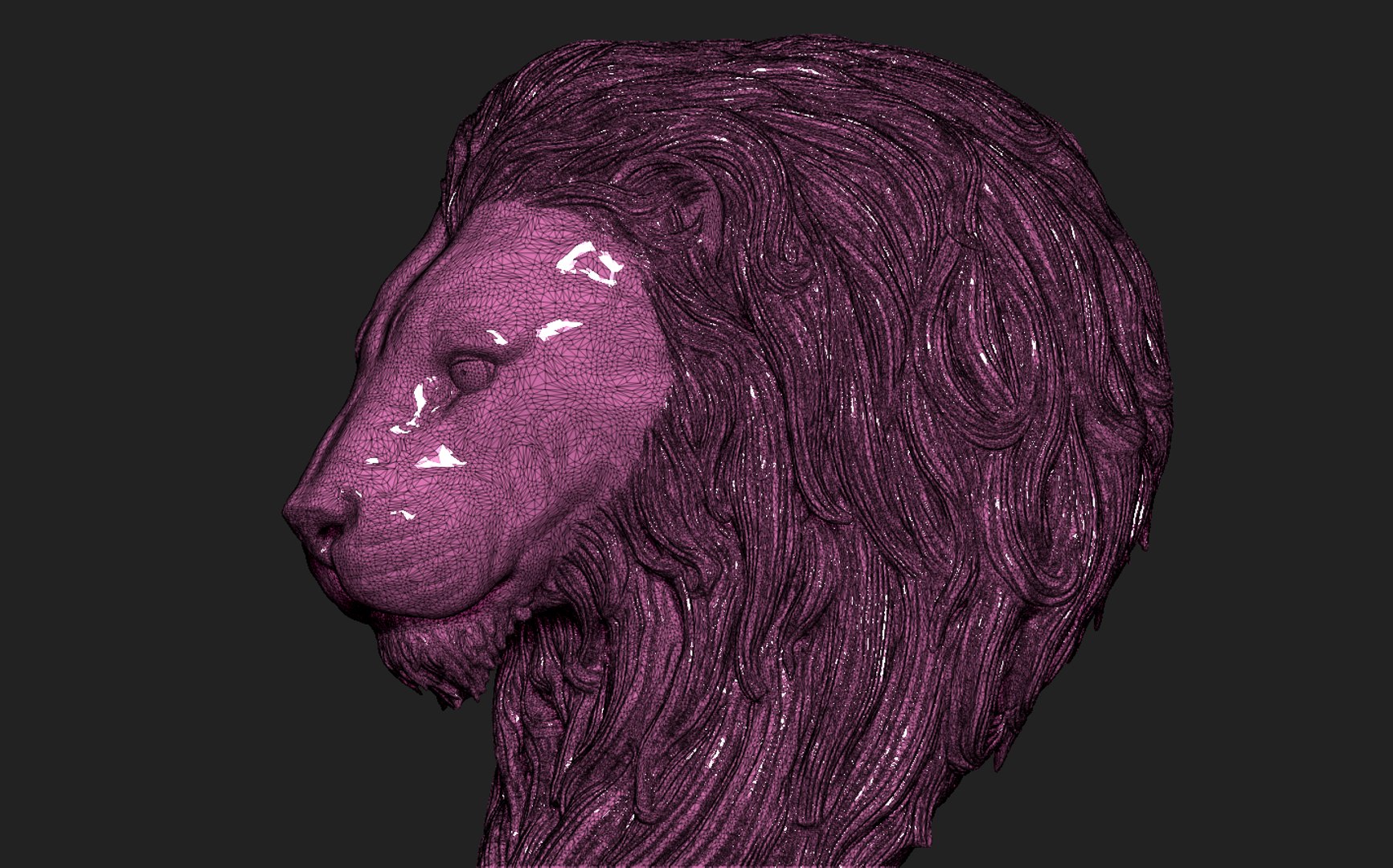 3D Lion https://p.turbosquid.com/ts-thumb/XJ/RKweuS/OM/18/png/1624405826/1920x1080/fit_q87/5d8ecfa7cfebb00fc2f87582736478f561887851/18.jpg
